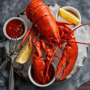 1/2-1.5lb Atlantic Lobster