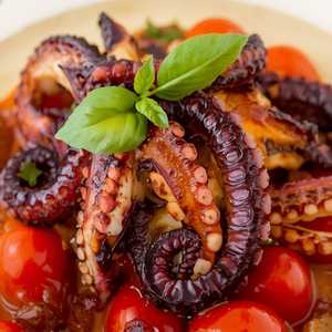 OCTOPUS