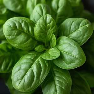 Add Spinach
