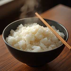 Gohan Rice