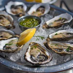 Fresh Oysters