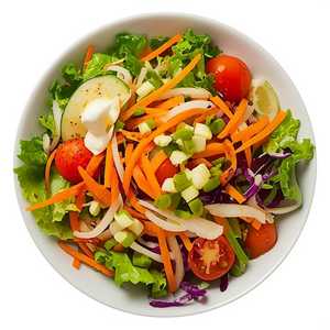 GARDEN SALAD