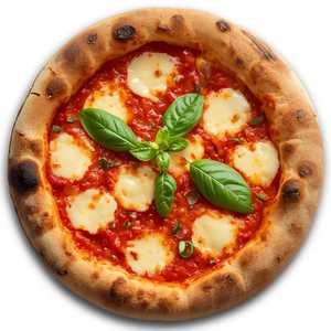X-Large Napoletana