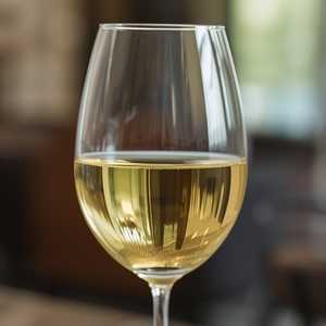 Pinot Grigio