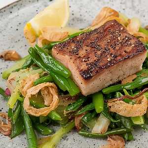 ALBACORE TUNA